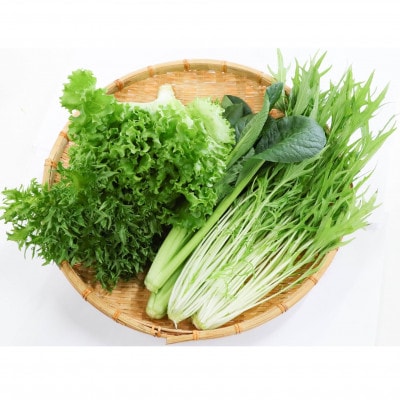 カリウムが気になる方へ!生で食べられます!低カリウム野菜「Dr,ULHA」おすすめ10袋セット