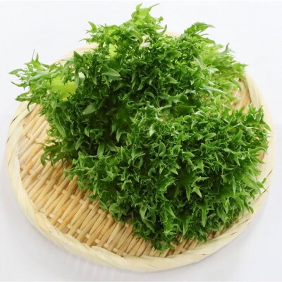 カリウムが気になる方へ!生で食べられます!低カリウム野菜「Dr,ULHA」おすすめ10袋セット