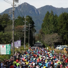 第15回記念鈴鹿山麓かもしかハーフマラソン出走権(ハーフの部)1名様分