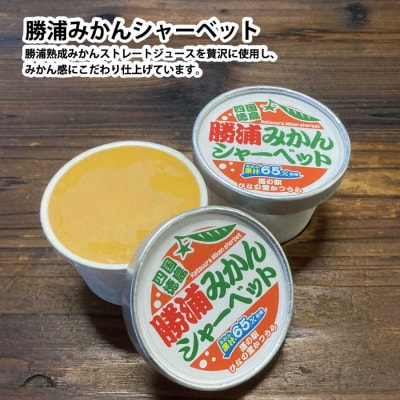 ご当地アイスセット