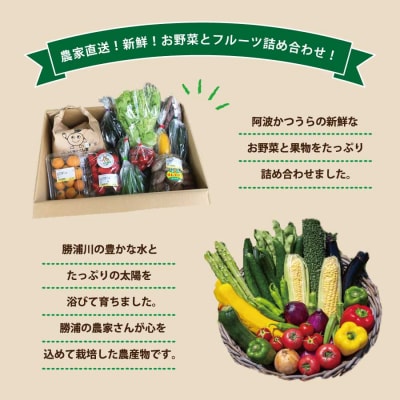 【定期便6回】阿波かつうら 農産物詰合わせ
