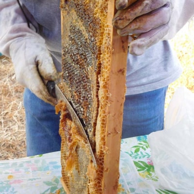 蜜柑園の天然純正蜂蜜 720g