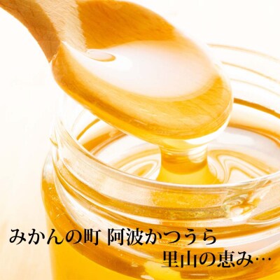 【定期便3回】はちみつ太良 1kg