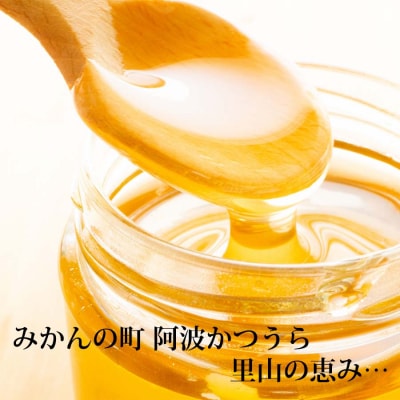 【定期便3回】はちみつ太良 1kg