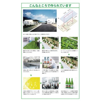 和柑橘果汁300ml 4種セット