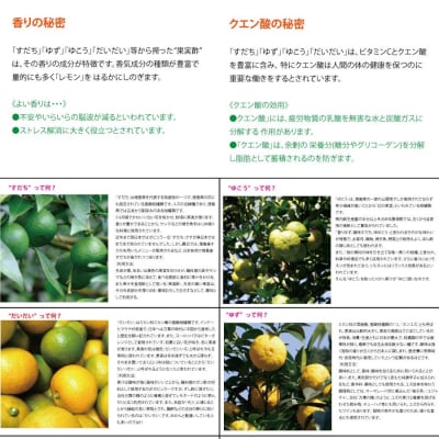 和柑橘果汁 700ml 4種セット