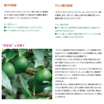 和柑橘希釈ジュース 200ml 3種セット