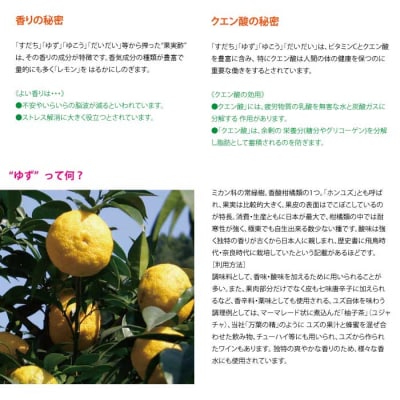 和柑橘希釈ジュース720ml 3種セット