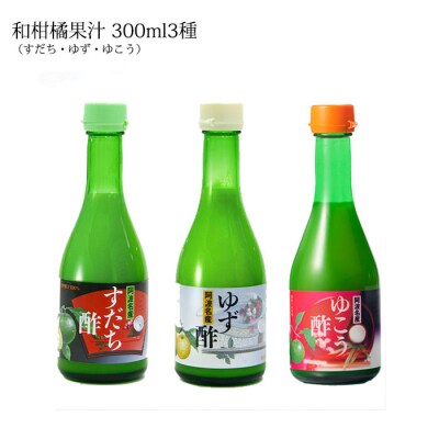 和柑橘果汁 300ml 3種セット