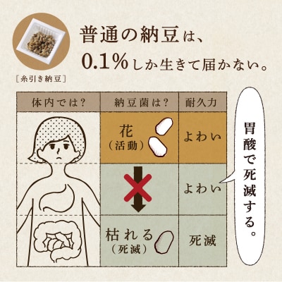 はすや 粉なっとう食べくらべ