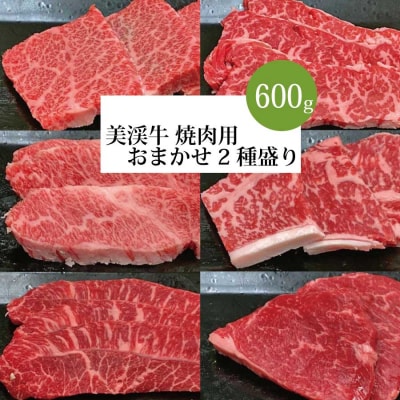 美渓牛 焼肉 おまかせ 2種 600g