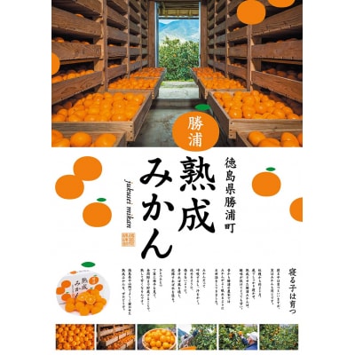 花岡農園 熟成みかん 秀品 S-LLサイズ 10kg