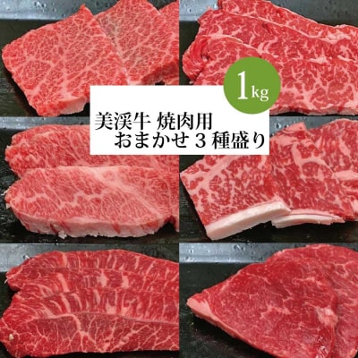 美渓牛 焼肉 おまかせ 3種 1kg