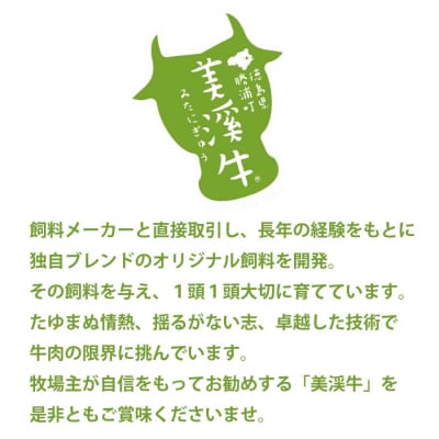 美渓牛 焼肉 おまかせ 3種 1kg
