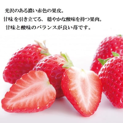 山西いちご園 さちのか 4P