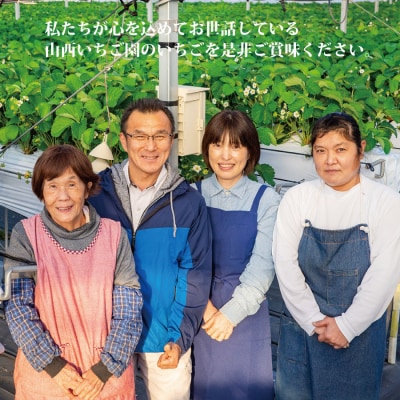 山西いちご園 さちのか 4P