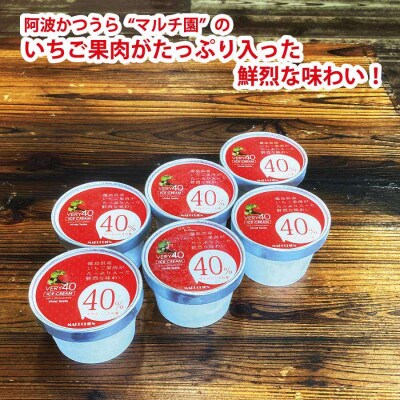 VERY40% マルチ園のいちごアイスクリーム6個