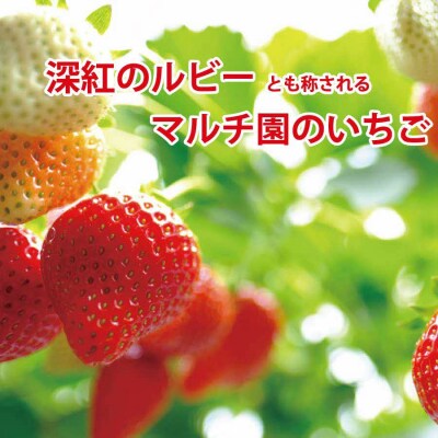 VERY40% マルチ園のいちごアイスクリーム6個