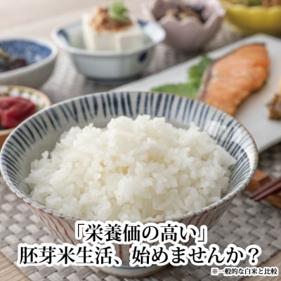あいさい黄金米 5kg