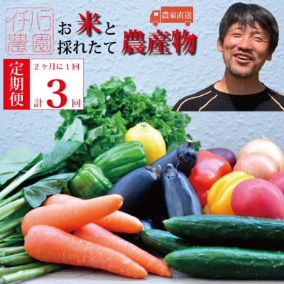 【定期便3回/2か月毎】市原農園 お米と農産物