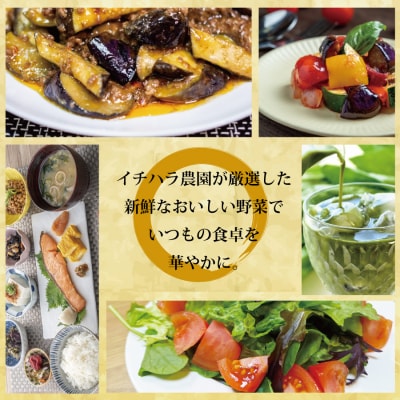 【定期便6回/2か月毎】市原農園 お米と農産物
