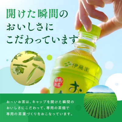 【定期便6回】おーいお茶 緑茶 345ml×24本入 伊藤園