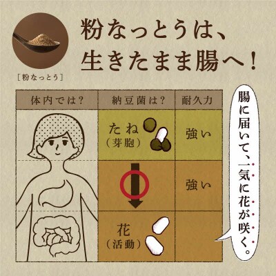 【定期便4回/1カ月毎】粉なっとう(あらびき)180g