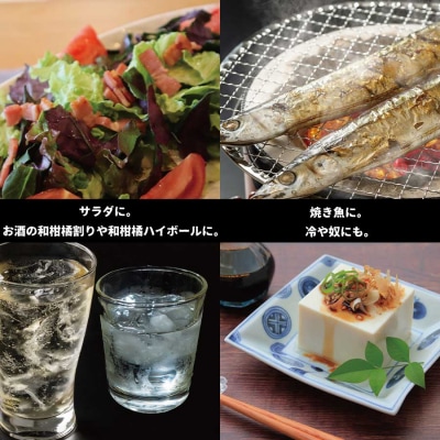 井出農園 露地すだち いでプリンス 家庭用 2kg