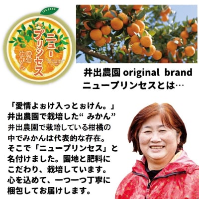 井出農園 極早生 初摘みかん 秀品 S-L混合 5kg