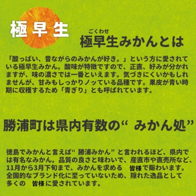 井出農園 極早生 初摘みかん 秀品 S-L混合 5kg