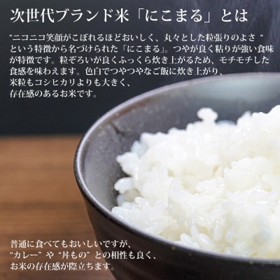 棚田栽培 にこまる 10kg