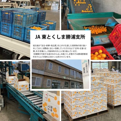 JA東とくしま 勝浦早生みかん 10kg M-Lサイズ 優品
