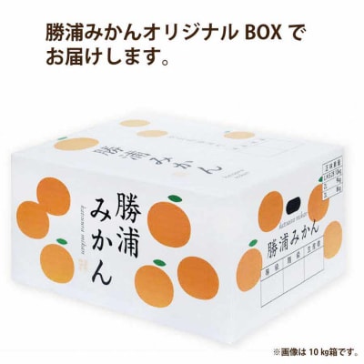 JA東とくしま 勝浦早生みかん 10kg M-Lサイズ 優品