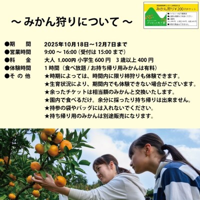 パイロット松下園 勝浦みかん 10kg+みかん狩り券 1800円分