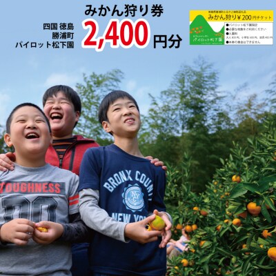 パイロット松下園 みかん狩り券 2400円分
