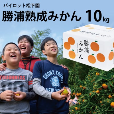 パイロット松下園 勝浦熟成みかん S-Lサイズ 秀品 10kg