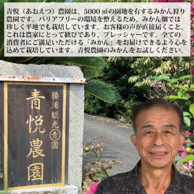 青悦農園 勝浦早生みかん S-LLサイズ 秀品 5kg
