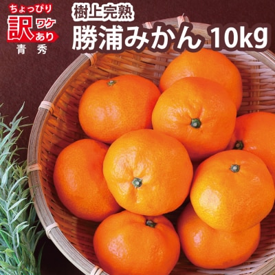 上村農園 訳あり 完熟早生みかん 青秀 SS-LLサイズ 10kg