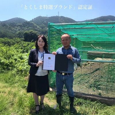 烏骨鶏 鶏卵 10個