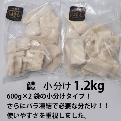 訳あり 鱧(はも)の唐揚げ 1.2kg