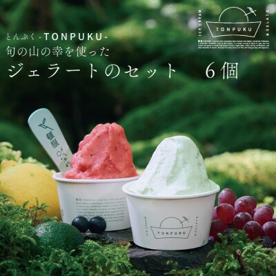 TONPUKU(とんぷく) ジェラートセット 6個