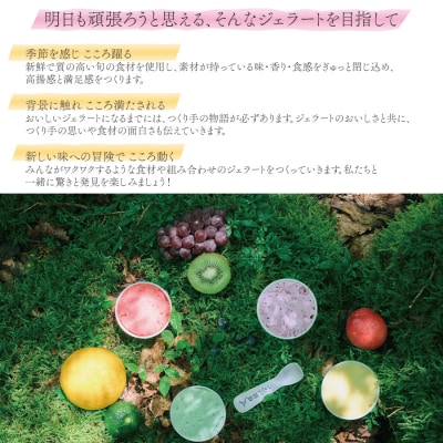 TONPUKU(とんぷく) ジェラートセット 6個