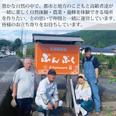 古民家民泊ぶんぶく 3名様宿泊券 田舎暮らしプラン