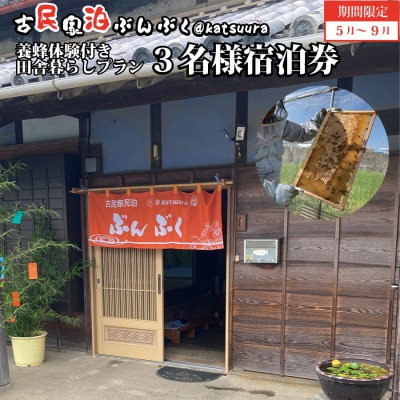 古民家民泊ぶんぶく 3名様宿泊券 田舎暮らし+養蜂体験付きプラン