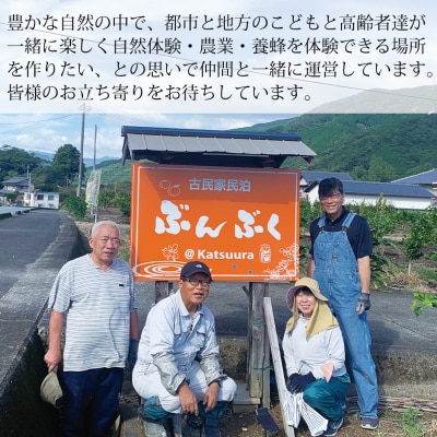 古民家民泊ぶんぶく 3名様宿泊券 田舎暮らし+みかん収穫体験付きプラン