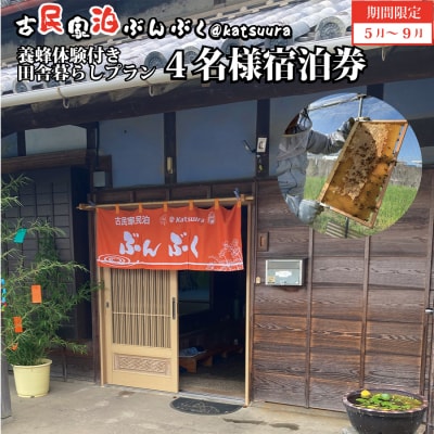 古民家民泊ぶんぶく 4名様宿泊券 田舎暮らし+養蜂体験付きプラン