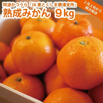 JA東とくしま 勝浦熟成みかん9kg 大玉サイズ 優品