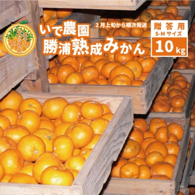 井出農園 贈答用 熟成みかん 秀品 S-Mサイズ 10kg