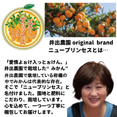 井出農園 贈答用 熟成みかん 秀品 S-Mサイズ 10kg