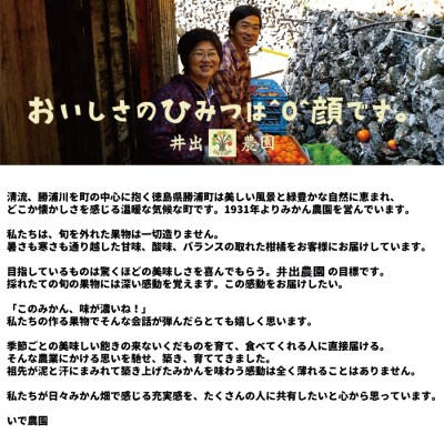 井出農園 家庭用 熟成みかん S-LLサイズ 10㎏